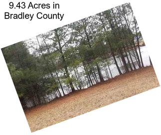 9.43 Acres in Bradley County