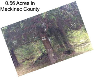 0.56 Acres in Mackinac County