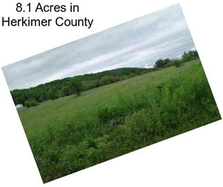 8.1 Acres in Herkimer County