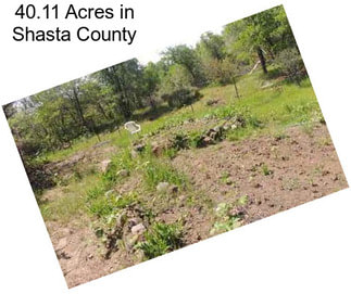 40.11 Acres in Shasta County
