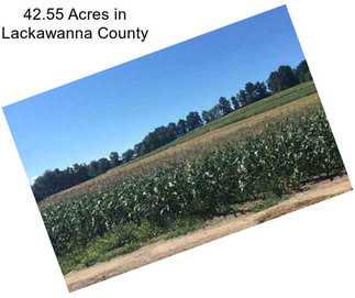 42.55 Acres in Lackawanna County