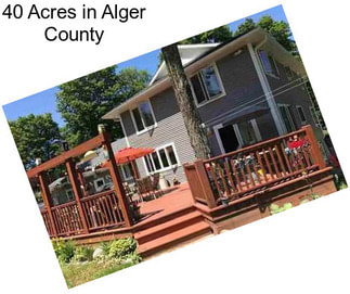 40 Acres in Alger County