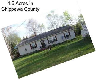 1.6 Acres in Chippewa County