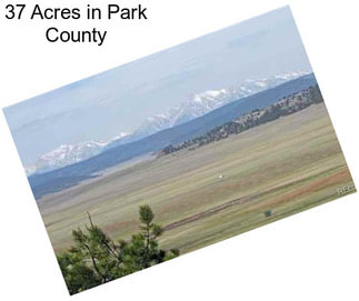 37 Acres in Park County