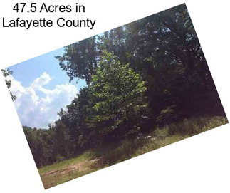 47.5 Acres in Lafayette County