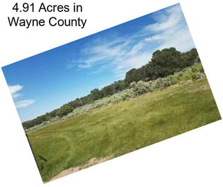 4.91 Acres in Wayne County