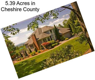 5.39 Acres in Cheshire County