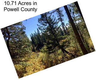 10.71 Acres in Powell County