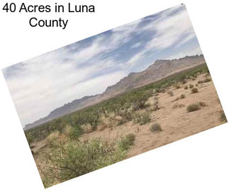 40 Acres in Luna County