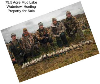 79.5 Acre Mud Lake Waterfowl Hunting Property for Sale