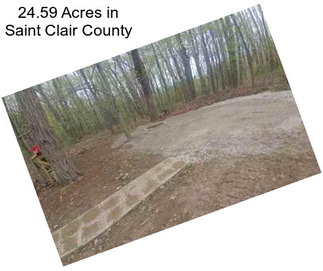 24.59 Acres in Saint Clair County