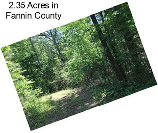 2.35 Acres in Fannin County