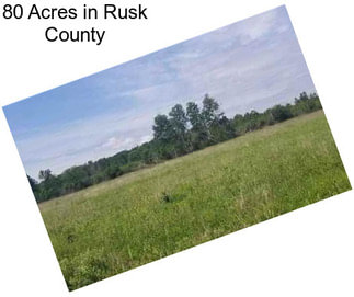 80 Acres in Rusk County