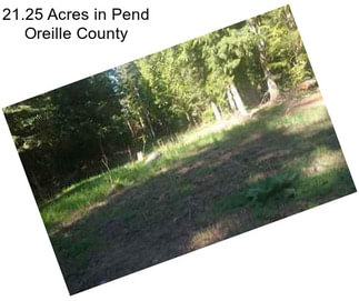 21.25 Acres in Pend Oreille County