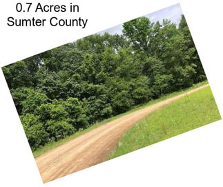 0.7 Acres in Sumter County