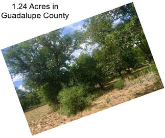 1.24 Acres in Guadalupe County