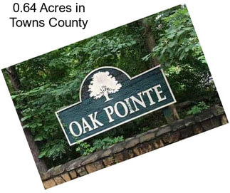 0.64 Acres in Towns County