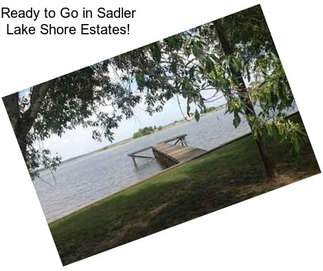 Ready to Go in Sadler Lake Shore Estates!