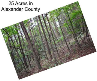25 Acres in Alexander County