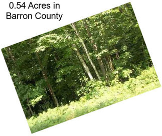 0.54 Acres in Barron County