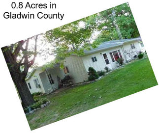 0.8 Acres in Gladwin County