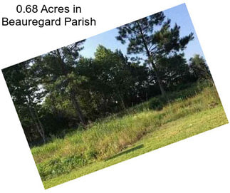 0.68 Acres in Beauregard Parish