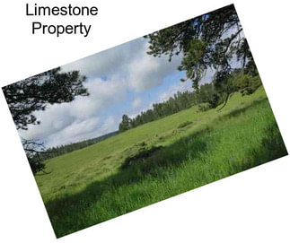 Limestone Property