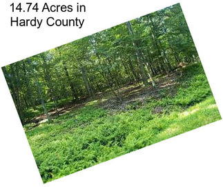 14.74 Acres in Hardy County