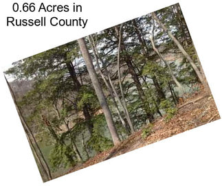 0.66 Acres in Russell County