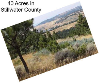 40 Acres in Stillwater County