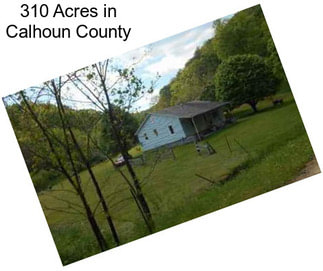 310 Acres in Calhoun County