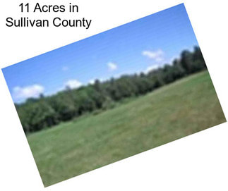 11 Acres in Sullivan County