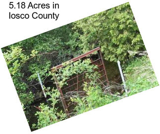 5.18 Acres in Iosco County