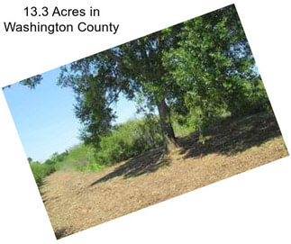 13.3 Acres in Washington County