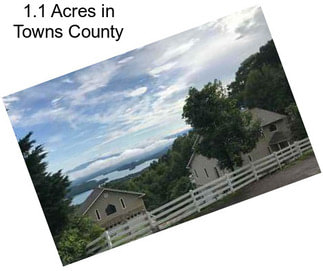 1.1 Acres in Towns County