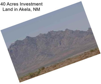 40 Acres Investment Land in Akela, NM
