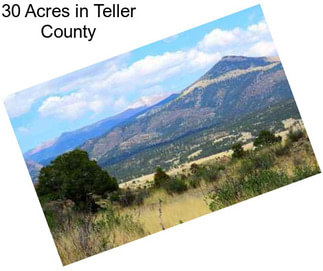 30 Acres in Teller County