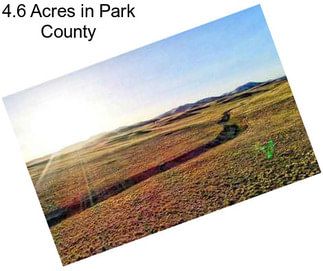 4.6 Acres in Park County