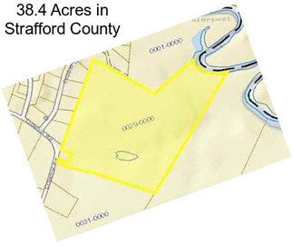 38.4 Acres in Strafford County