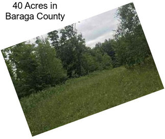 40 Acres in Baraga County