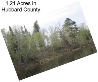 1.21 Acres in Hubbard County