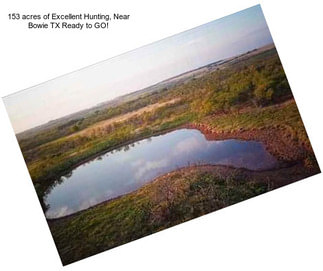 153 acres of Excellent Hunting, Near Bowie TX Ready to GO!