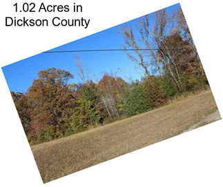 1.02 Acres in Dickson County
