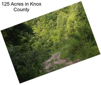 125 Acres in Knox County