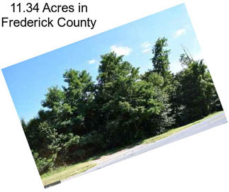 11.34 Acres in Frederick County