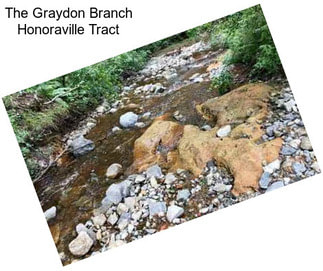 The Graydon Branch Honoraville Tract