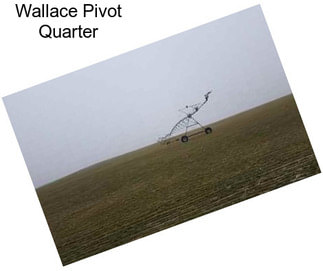 Wallace Pivot Quarter