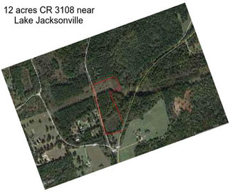 12 acres CR 3108 near Lake Jacksonville