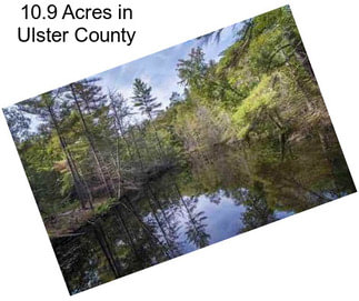 10.9 Acres in Ulster County