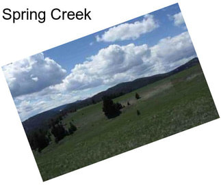 Spring Creek